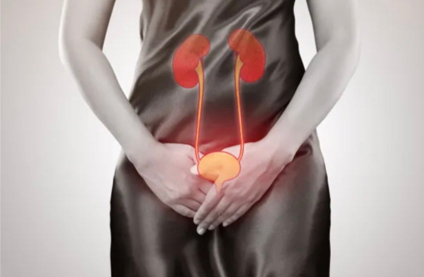 Knowledge about urinary tract infection: 50% of women will suffer from urinary tract infection at least once in their lifetime.