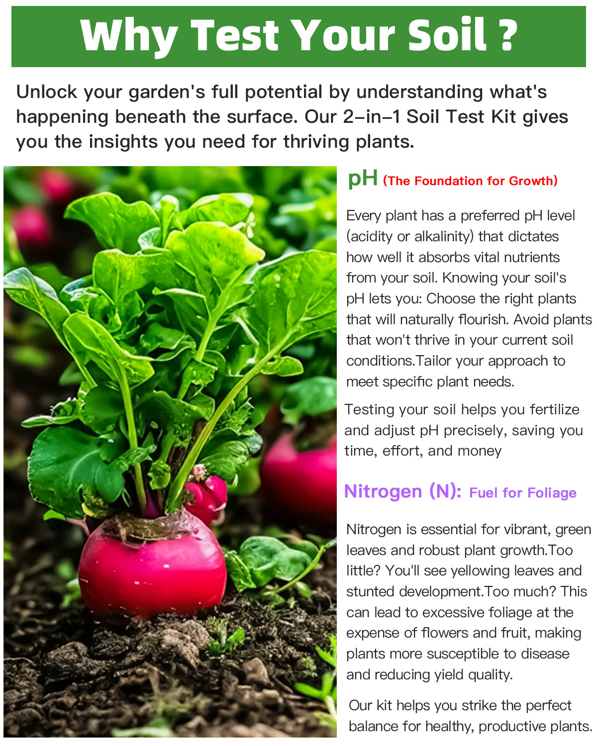 2-in-1 Soil Test Kit