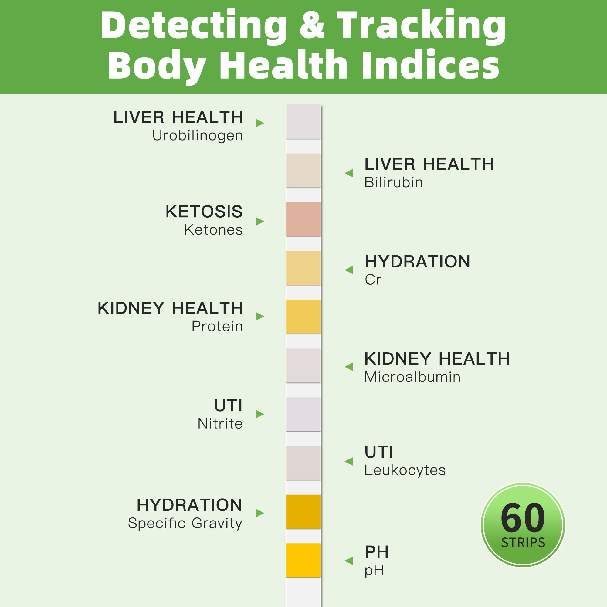 10-in-1 Urine Test Strips 60ct, Green