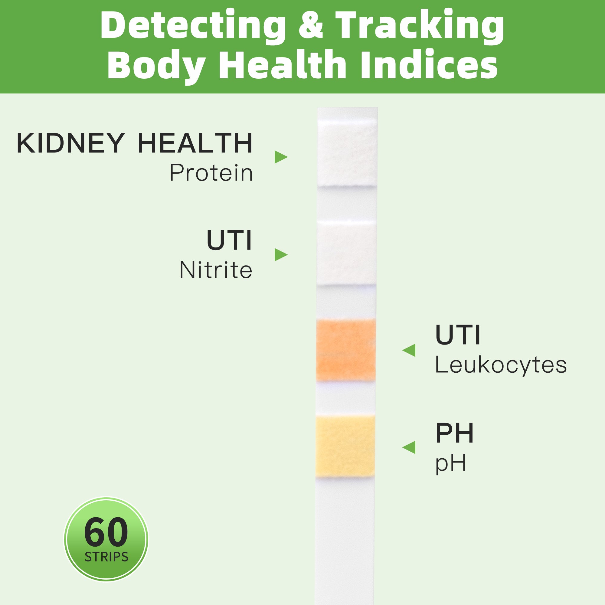 4-in-1 UTI Test Strips 60ct, Green