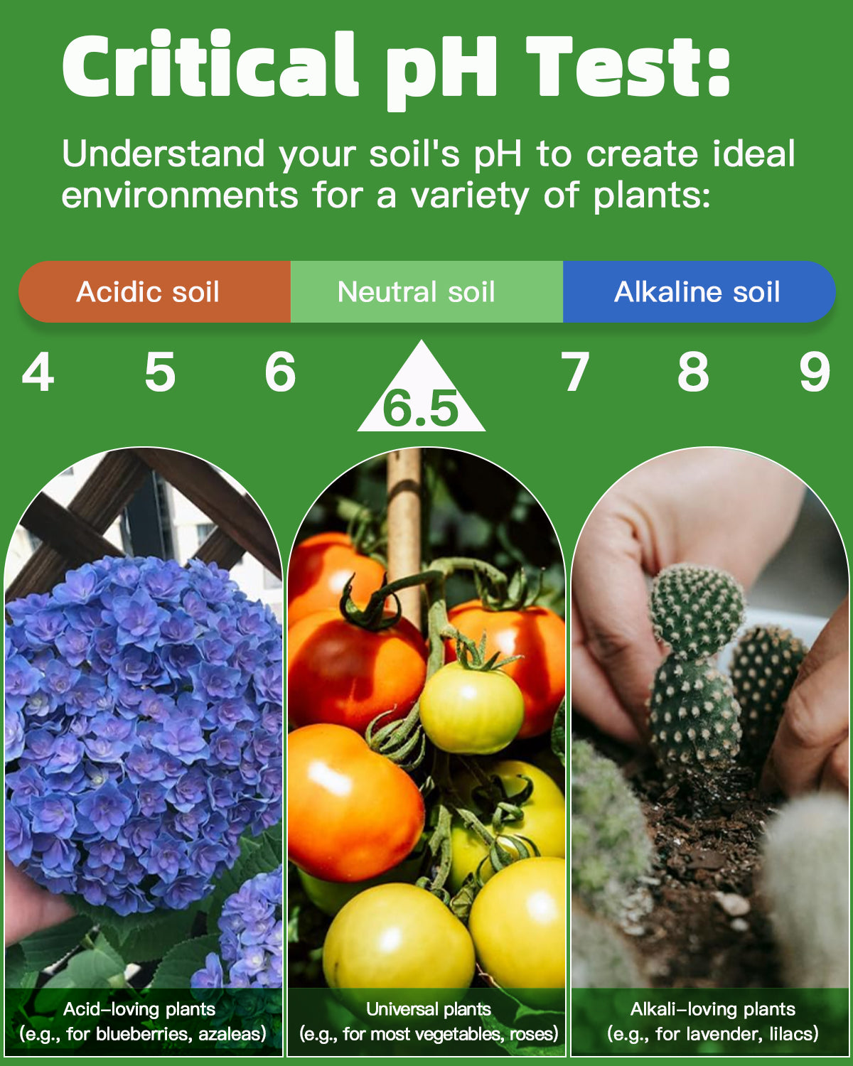 2-in-1 Soil Test Kit